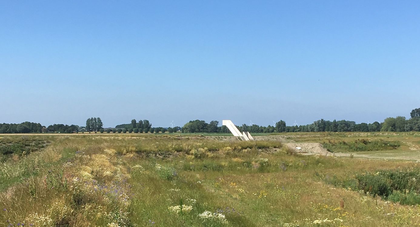 Fort Henricus