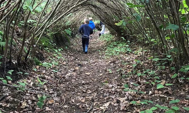 Griezelgreppel Speelnatuur Schiermonnioog
