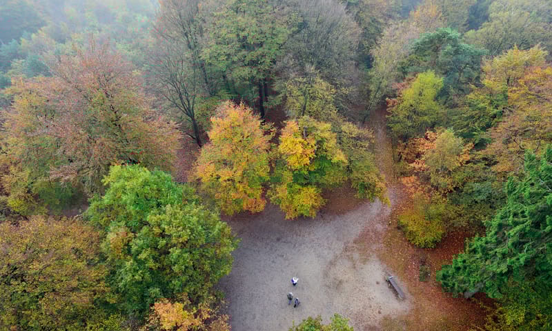 Kaapse Bossen in de herfst vanaf de uitkijktoren