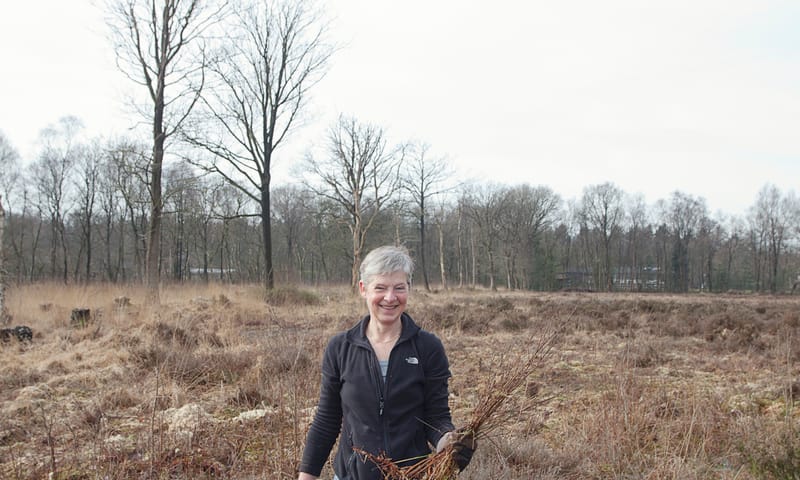 Vrijwilligers aan het werk in het Soesterveen