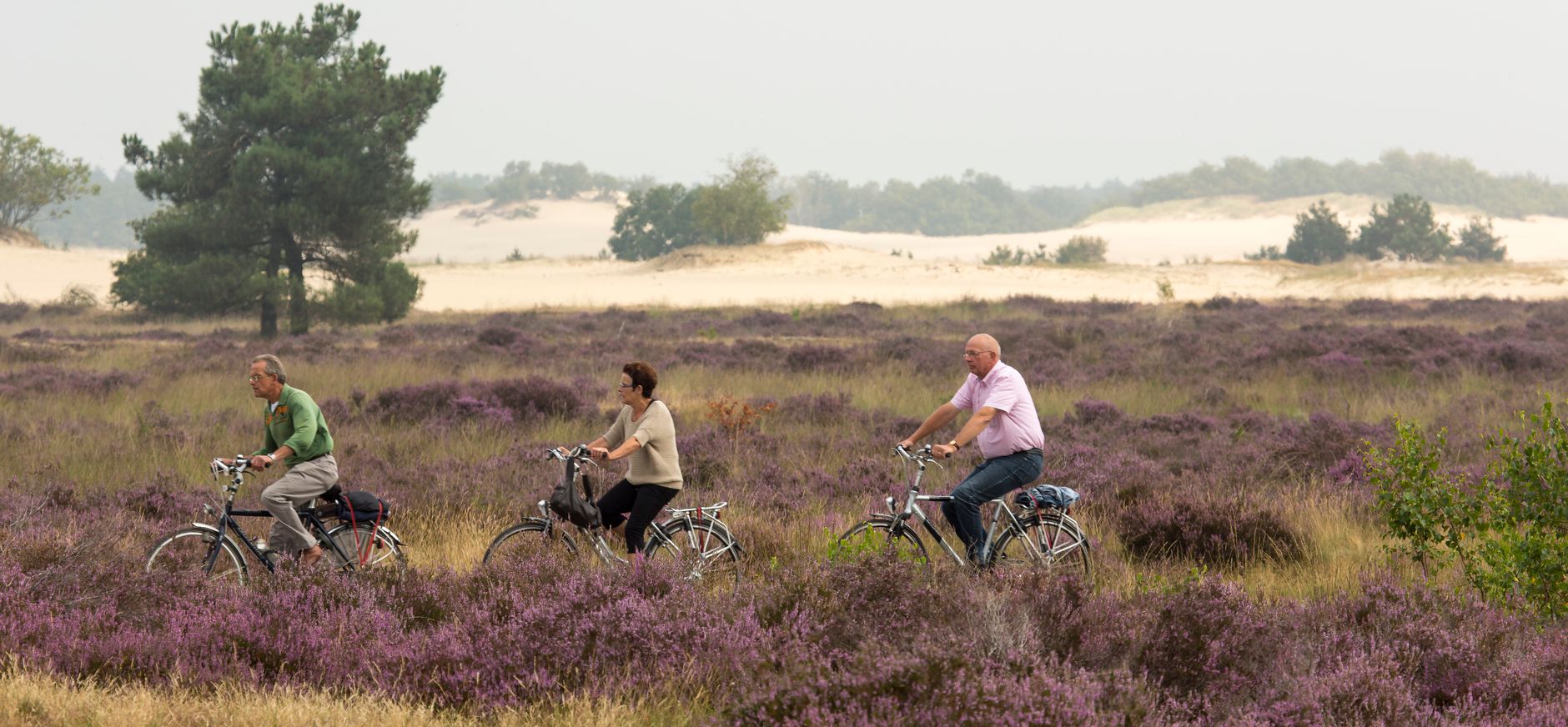 Genieten van de Loonse en Drunense Duinen