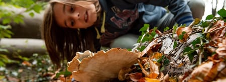 Paddenstoelen kijken in de herfstvakantie