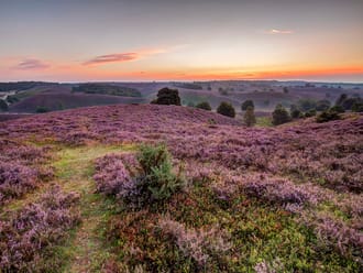 Heideheuvels Veluwezoom
