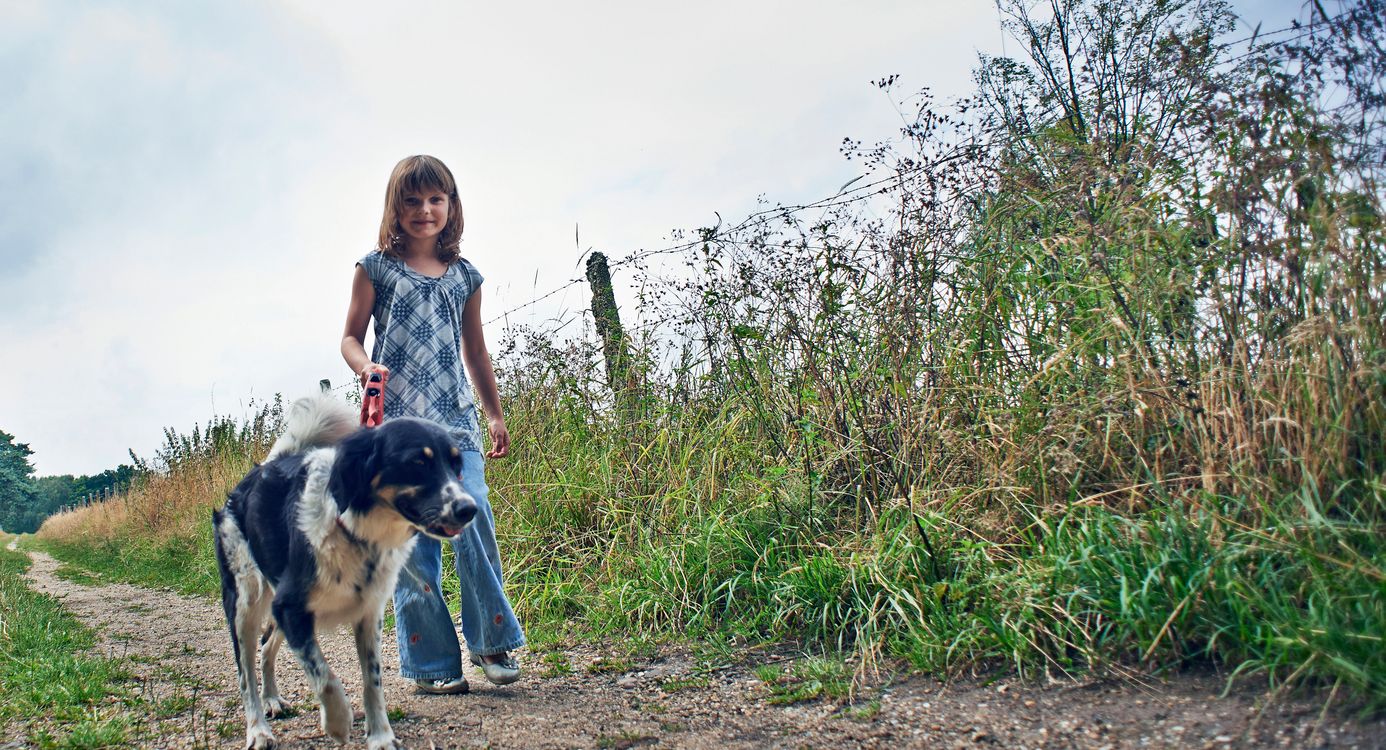 Meisje wandelt met hond
