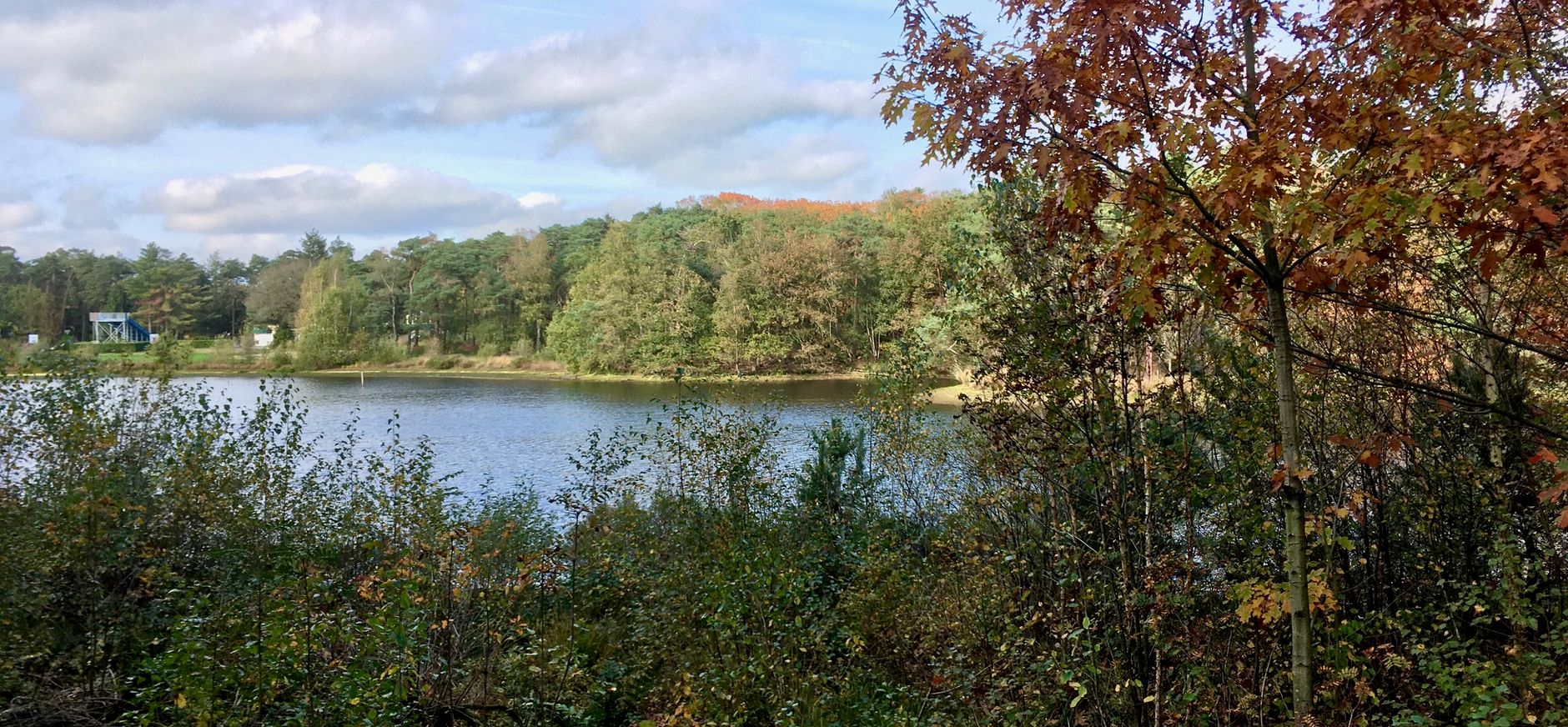 Oever van Staalbergven dichtgegroeid