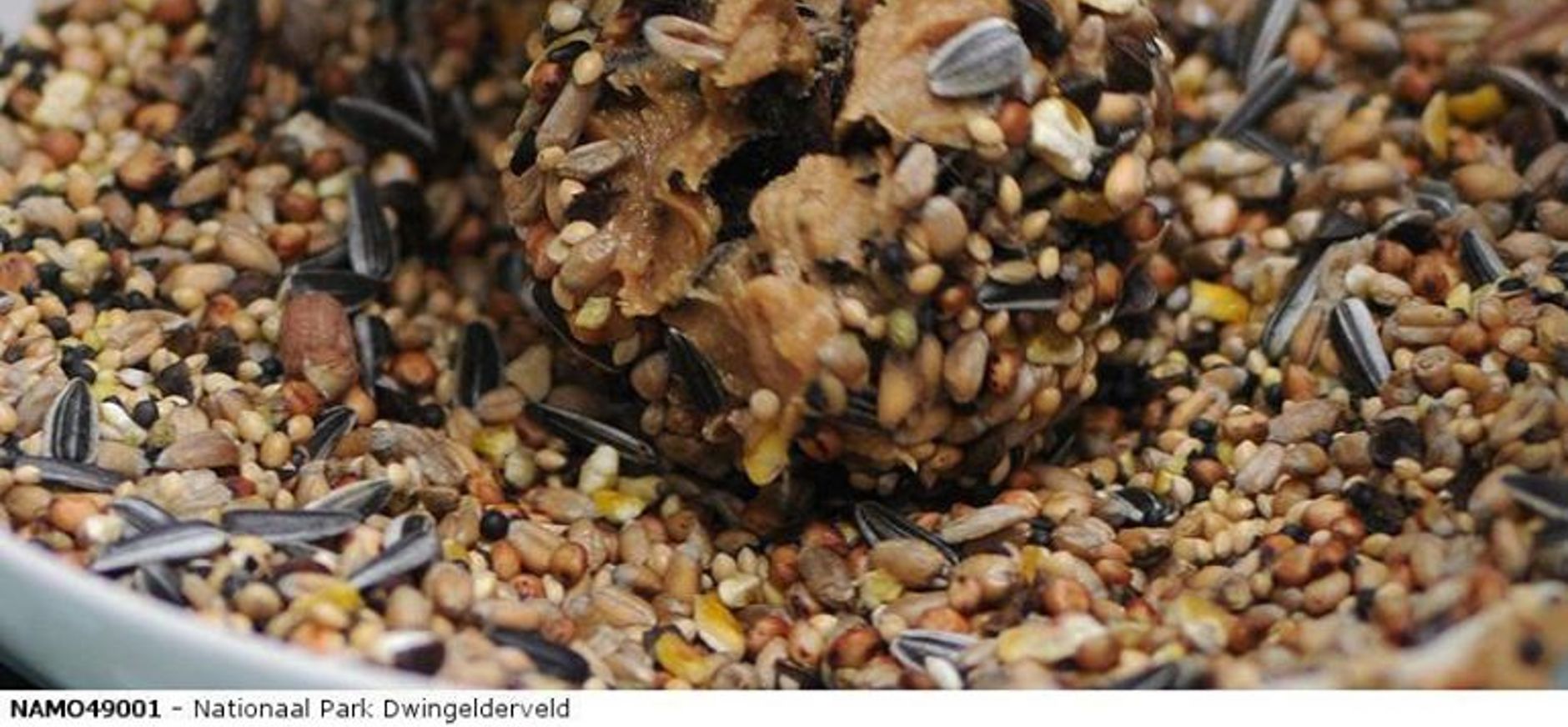 Dennenappel snack maken met vogelvoer