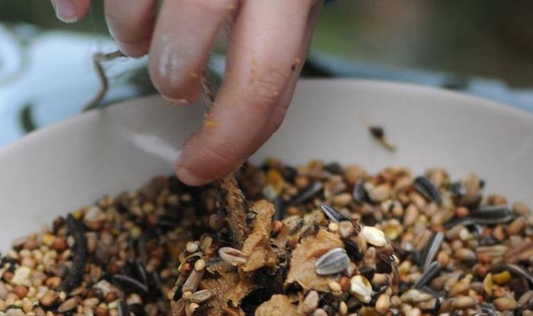 Dennenappel snack maken met vogelvoer