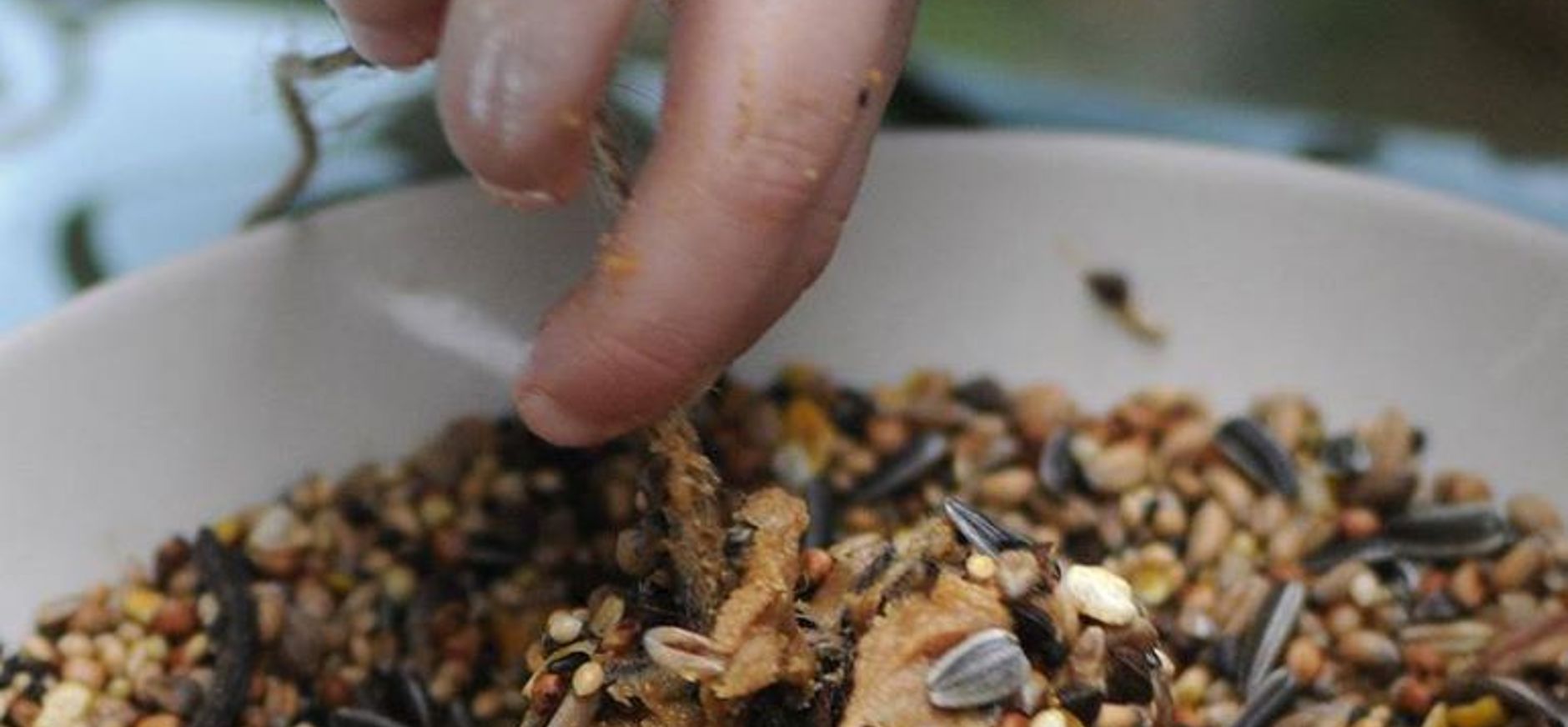 Dennenappel snack maken met vogelvoer