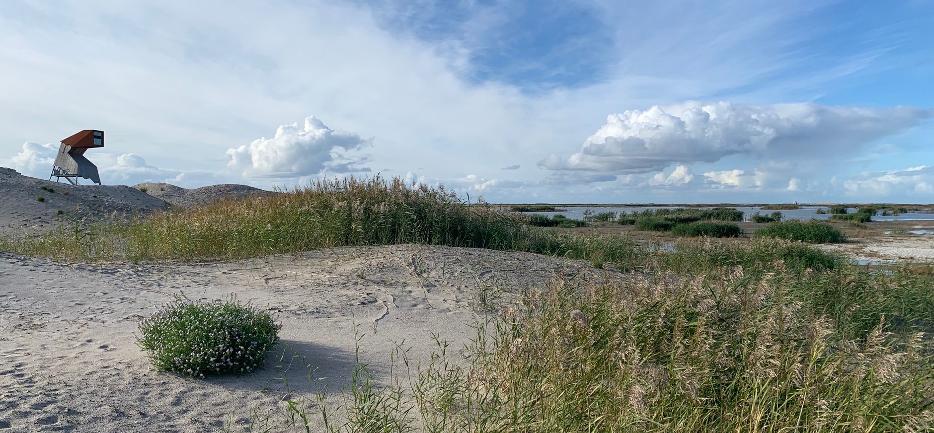 Marker Wadden