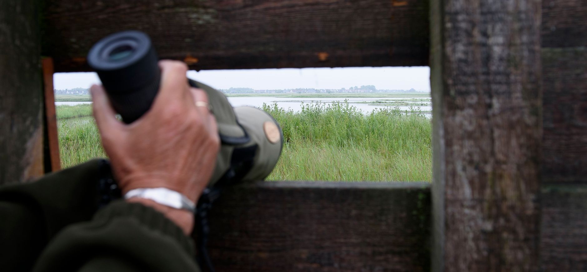 Vogelkijkhut Hegewiersterfjild