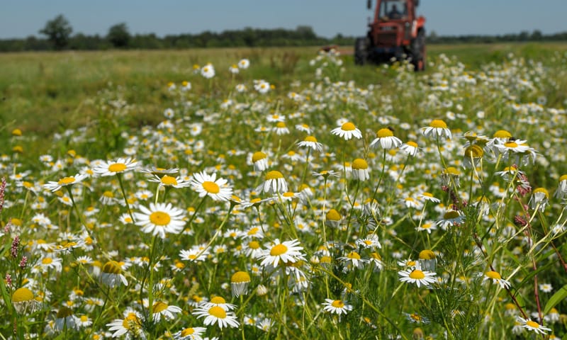 Natuurlijk boeren