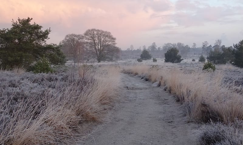 Sprengenberg winter