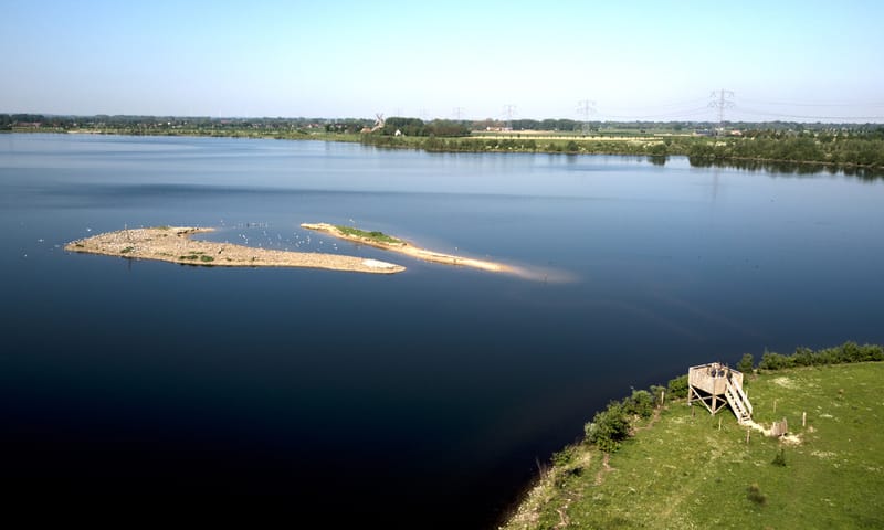 Vogels spotten Molenplas