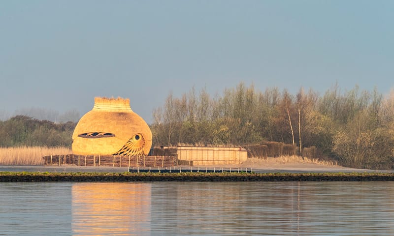 Vogels spotten bij Vogelsobservatorium Tij