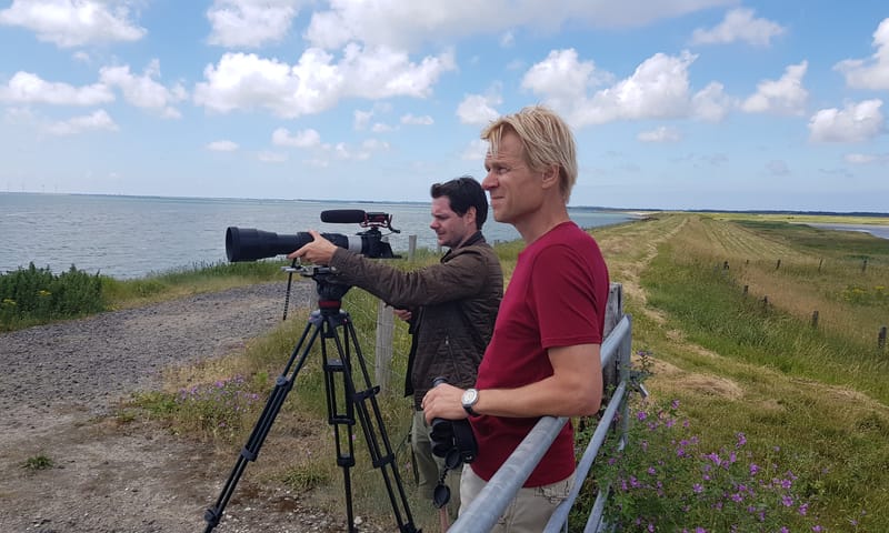 Opnames Vroege Vogels