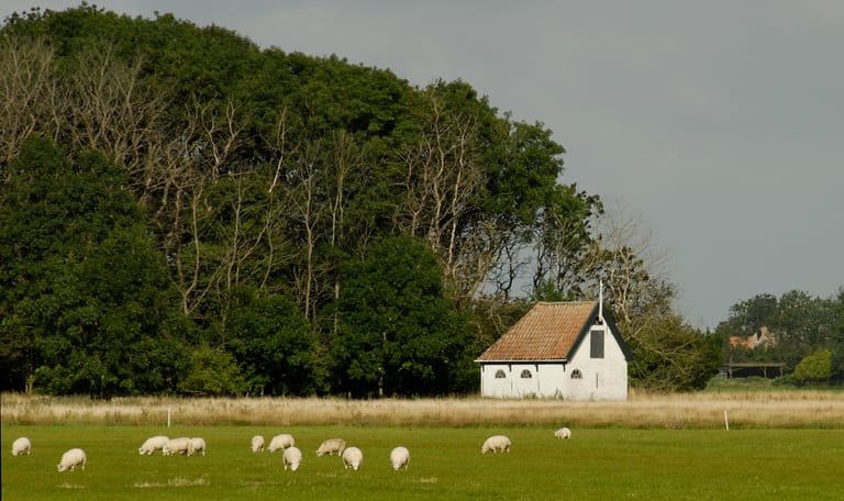 Eendenkooi Spang - Texel