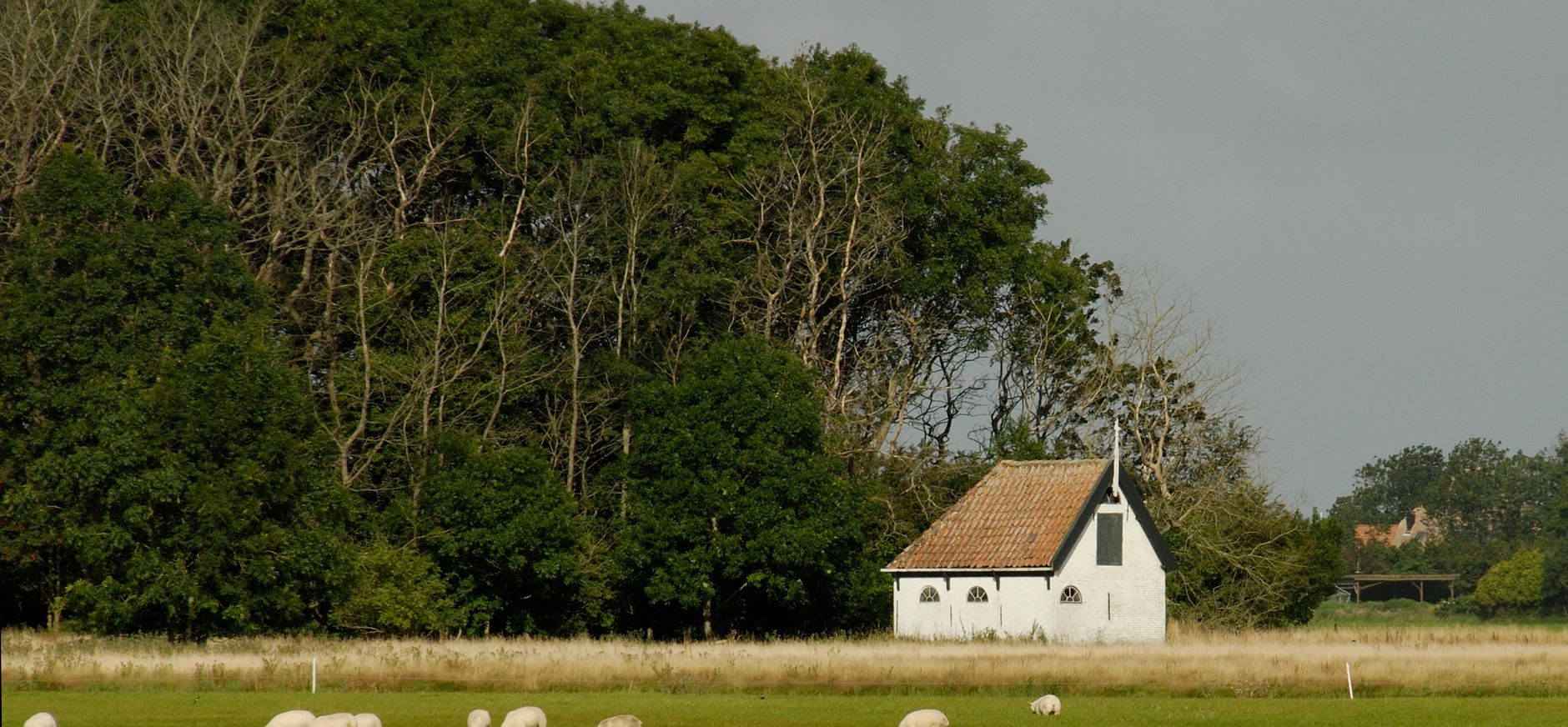 Eendenkooi Spang - Texel