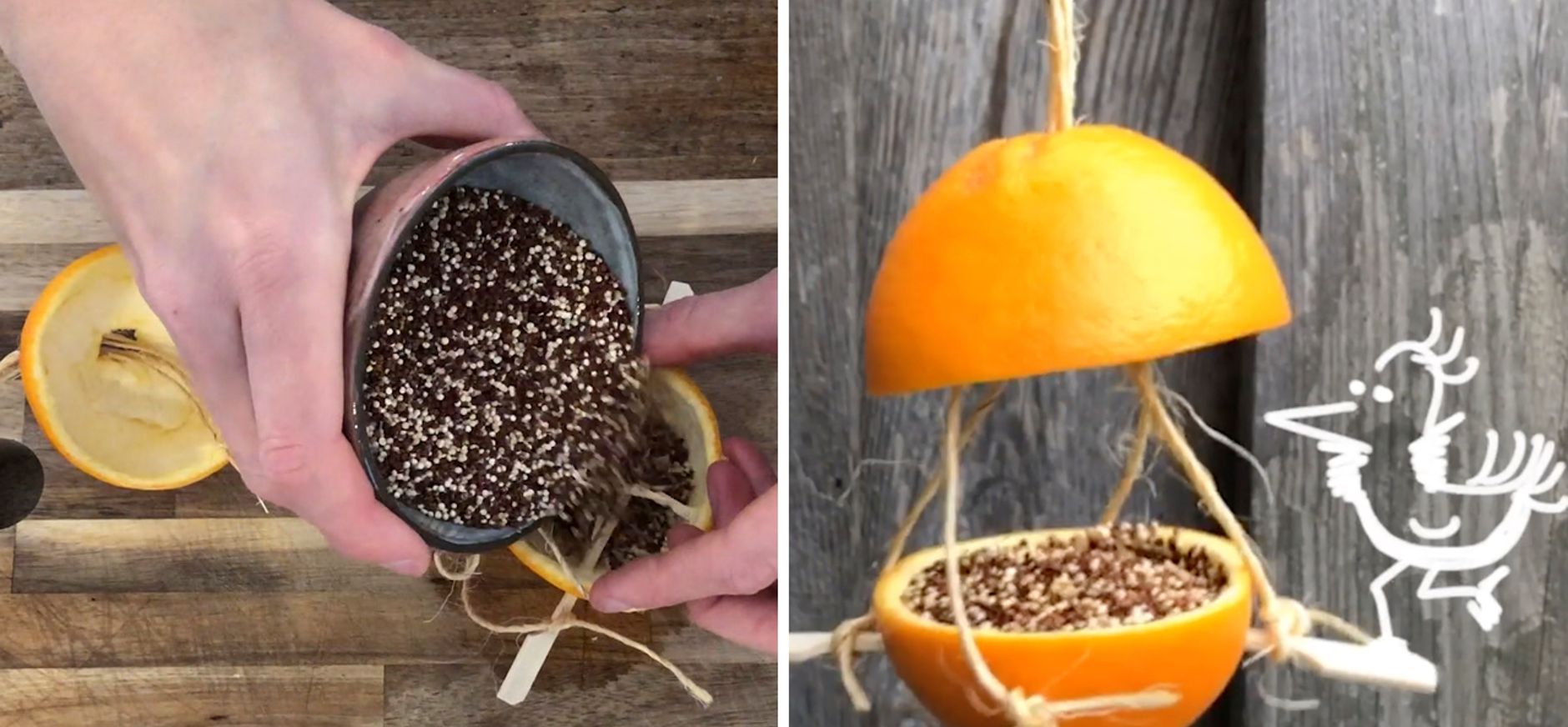 Vogelvoer hanger maken met sinaasappel