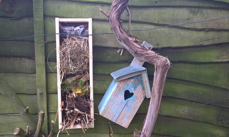Bouwmarkt voor de vogels