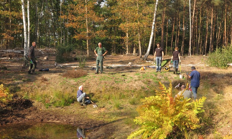 Vrijwilligers Cronebos