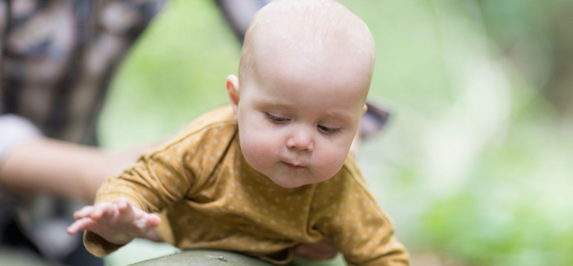 kruipen over een boomstam