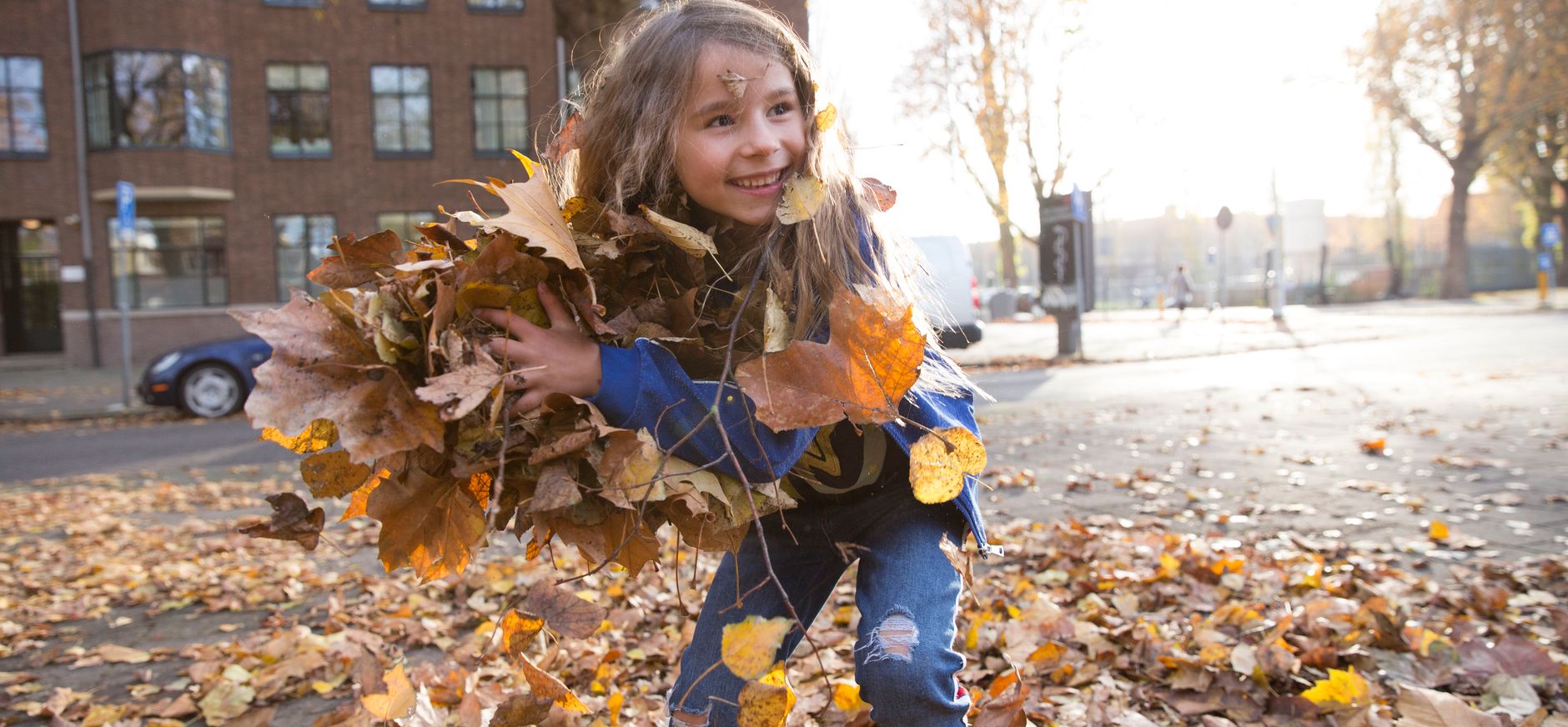 Bladeren in de herfst - OERRR