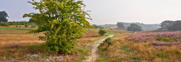 Heuvellandschap
