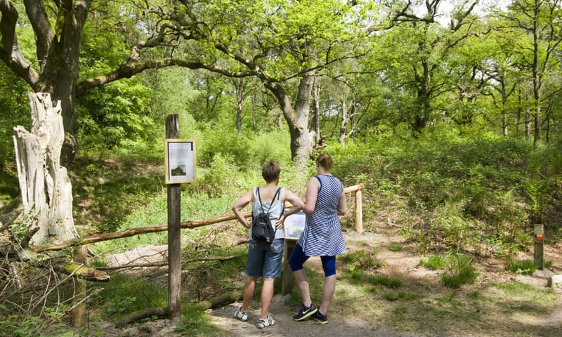 Stokoude Wodanseiken cultuurhistorie Wolfheze