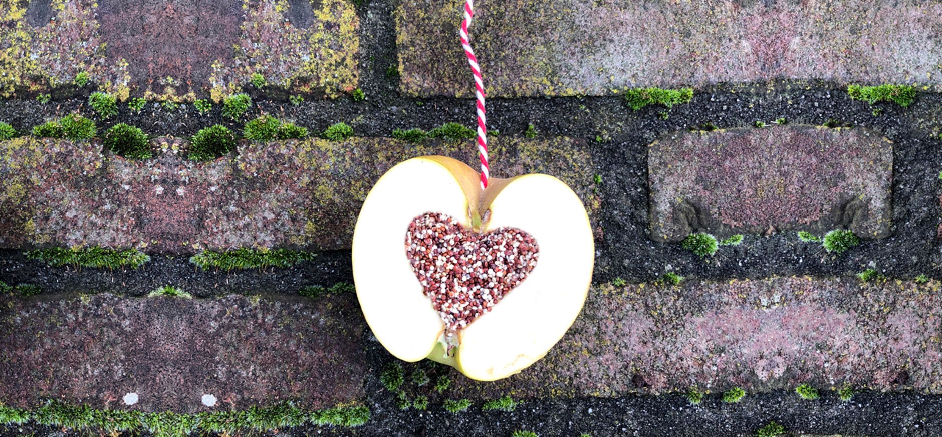 Appel met pindakaas en zaadjes voor vogels