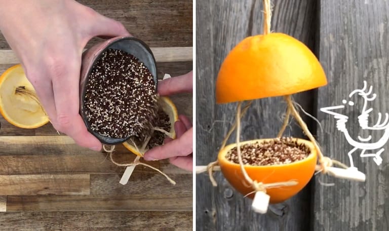 Vogelvoer hanger maken met sinaasappel
