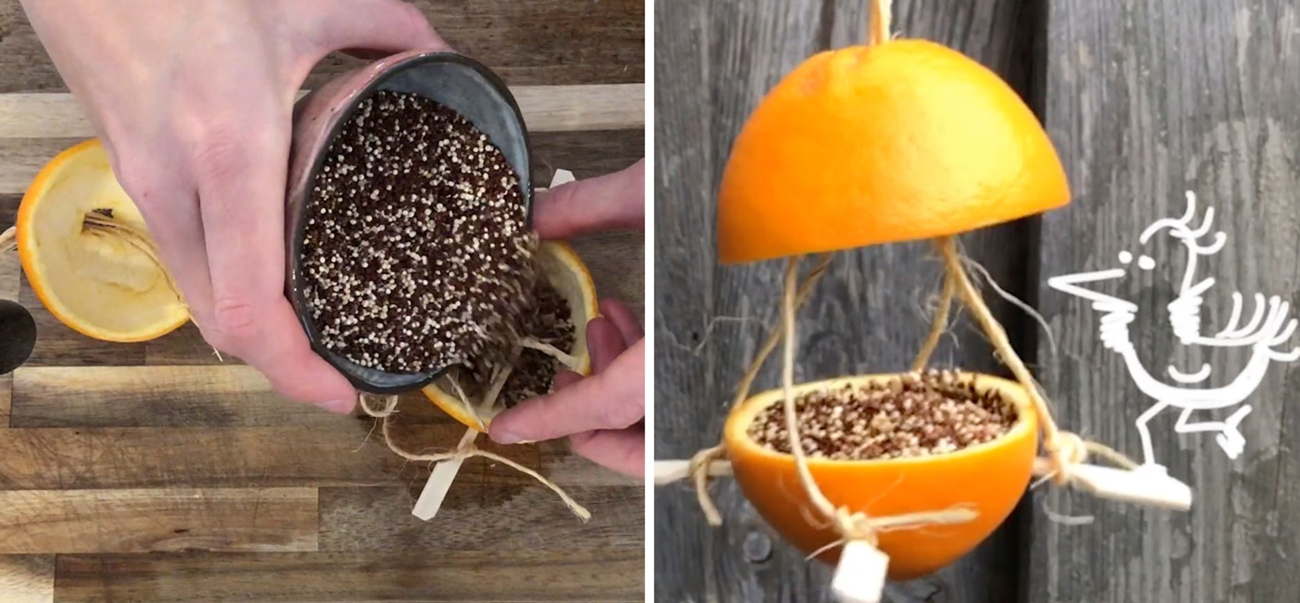 Vogelvoer hanger maken met sinaasappel