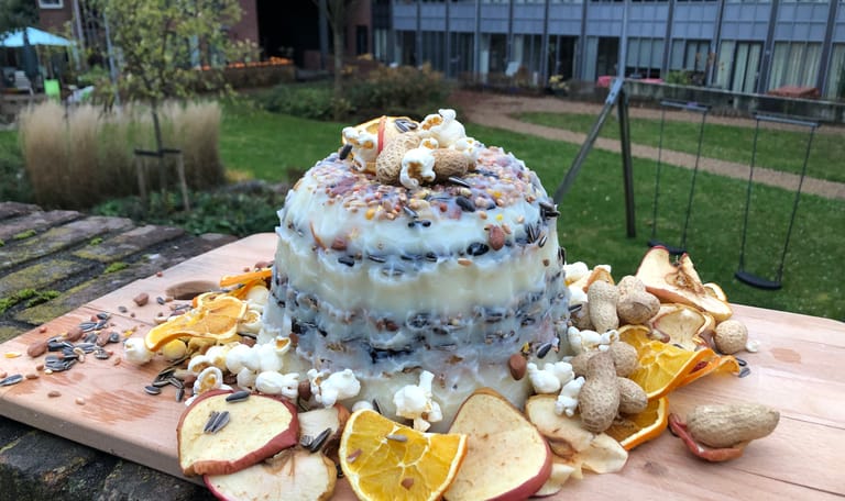 Maak een vogeltaart met OERRR