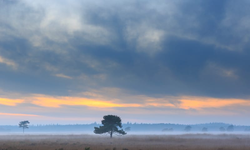 Wapserveld in november