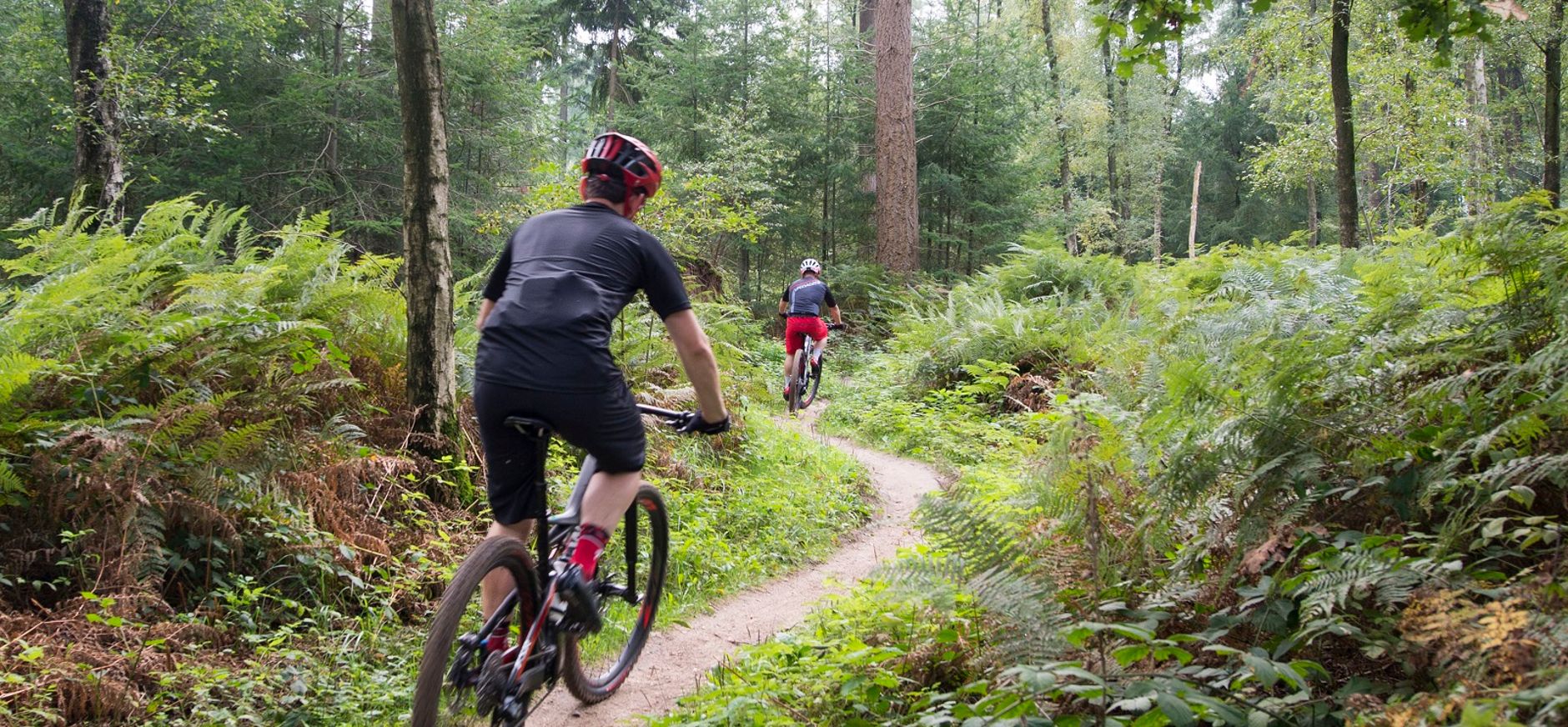 Mountainbiken in het Bergherbos