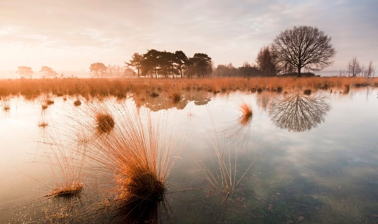 Vennenroute Huis ter Heide, vlak bij Tilburg
