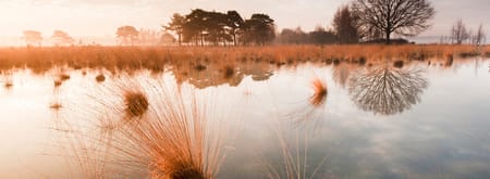 Vennenroute Huis ter Heide, vlak bij Tilburg
