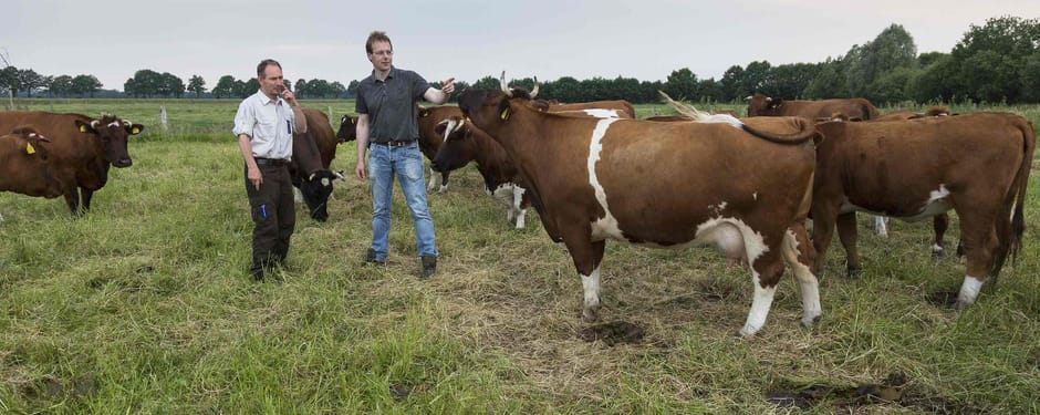 Landbouw in Twente