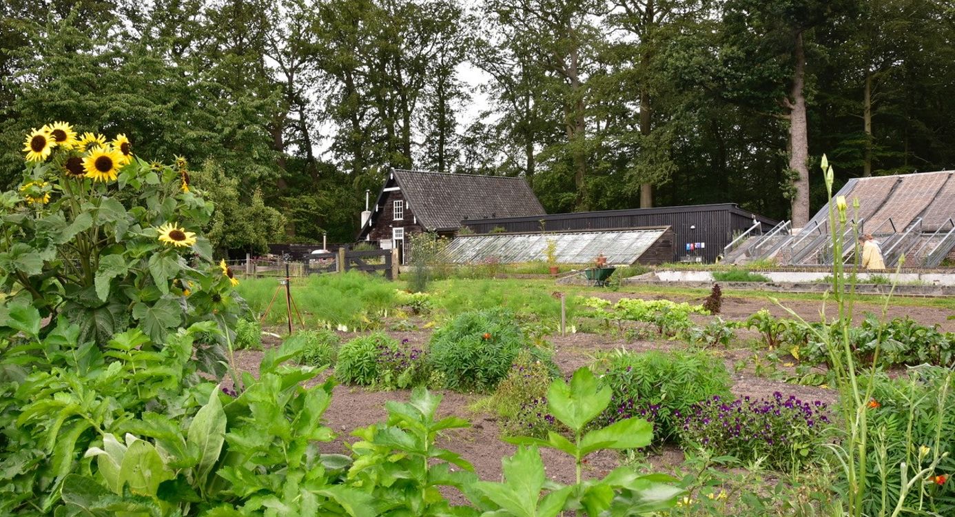 Moestuin Jagtlust