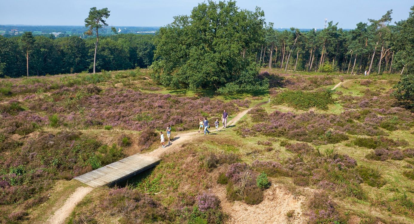 Mookerheide schansen