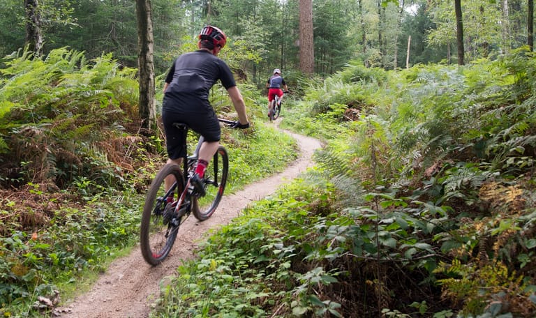 Mountainbiken in het Bergherbos