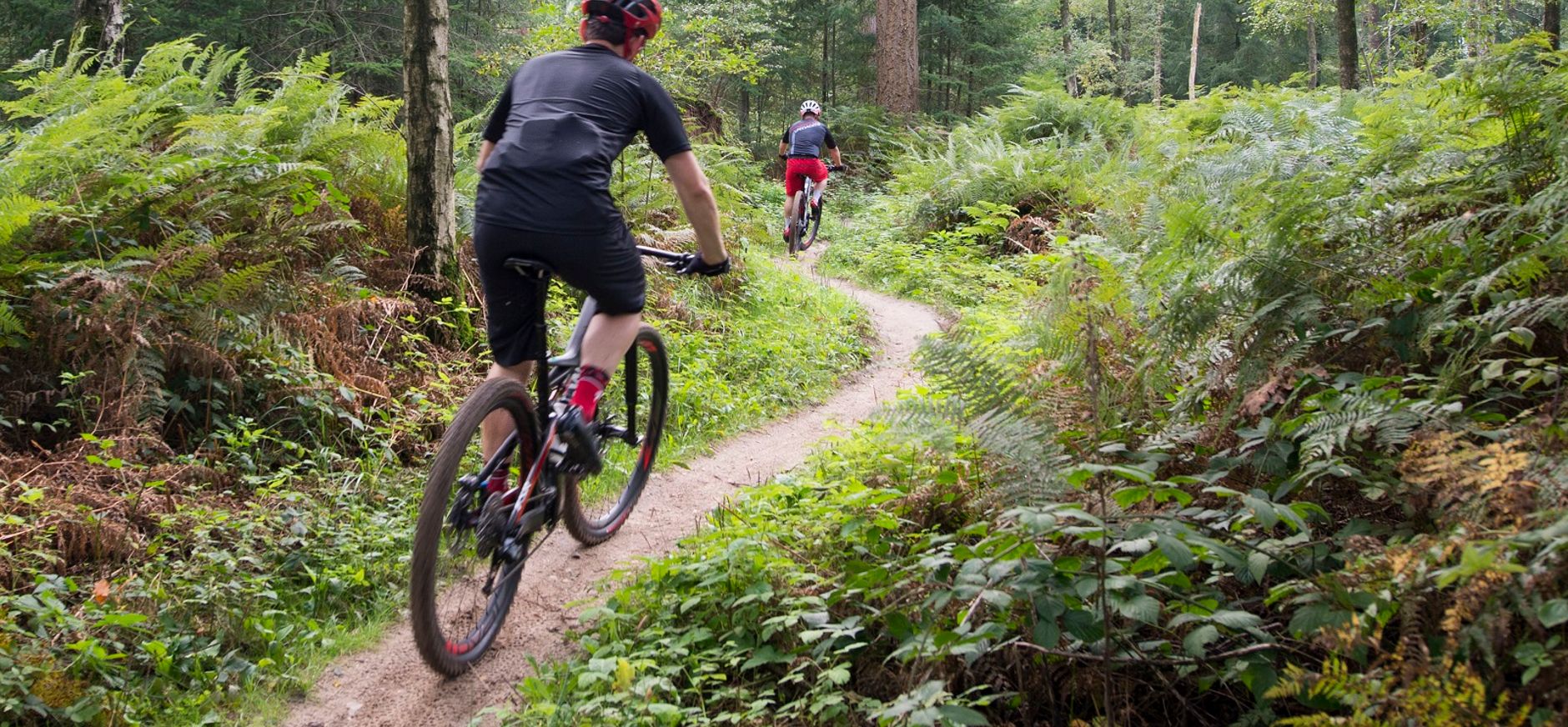 Mountainbiken in het Bergherbos