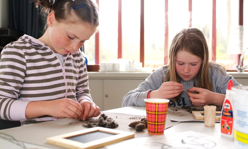 Braakballen pluizen foto Marc Beenen