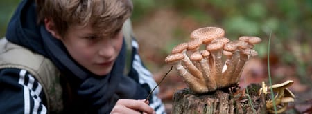 kind en paddenstoel