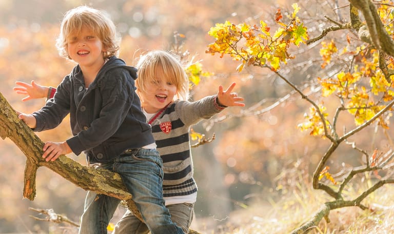 Speelnatuur van OERRR in 's-Graveland