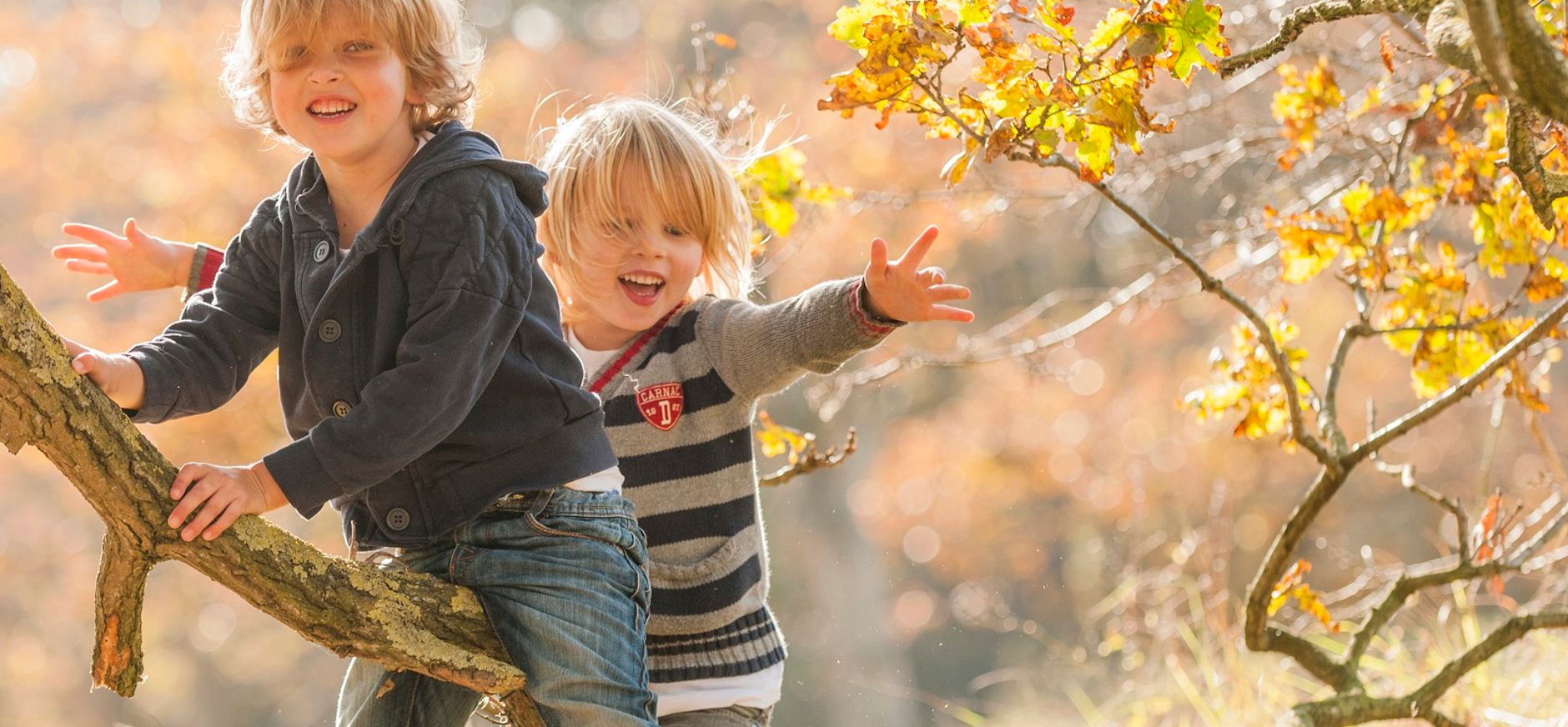 Speelnatuur van OERRR in 's-Graveland