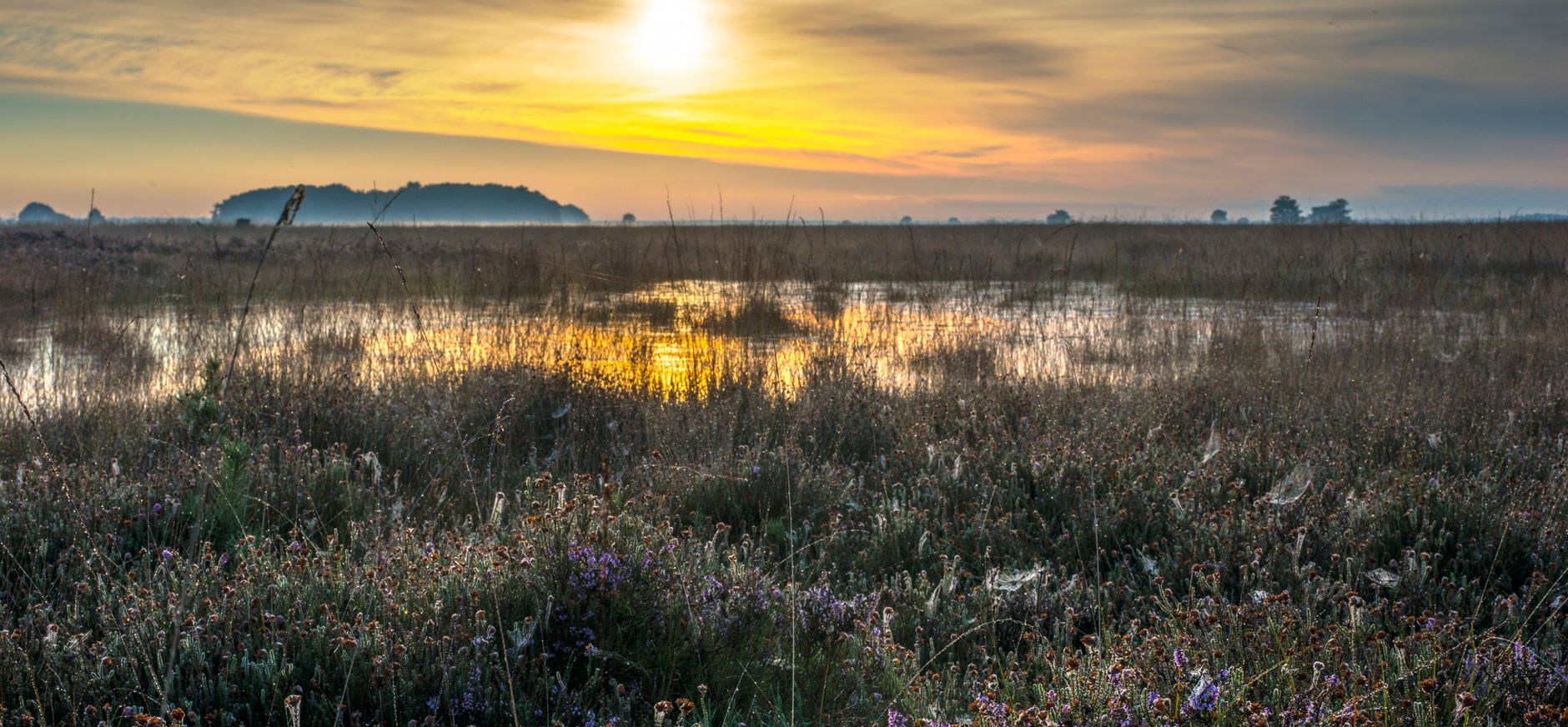 Drents landschap