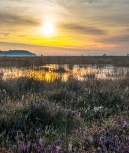 Drents landschap