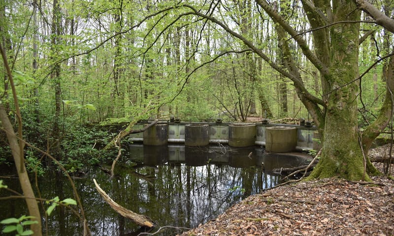 Ontdek de waterwerken in het Waterloopbos