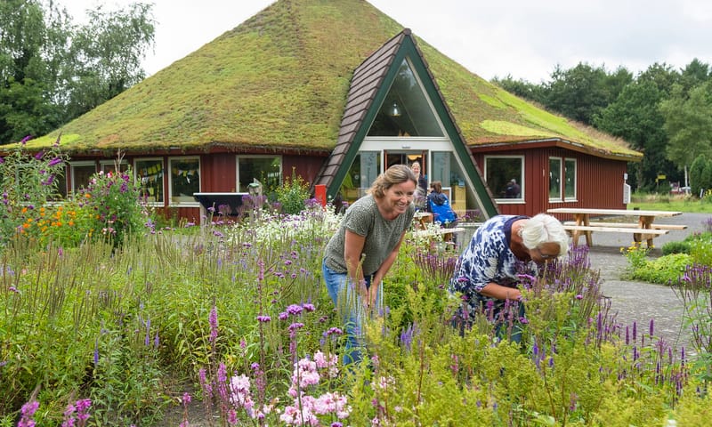 Bezoekerscentrum Dwingelderveld