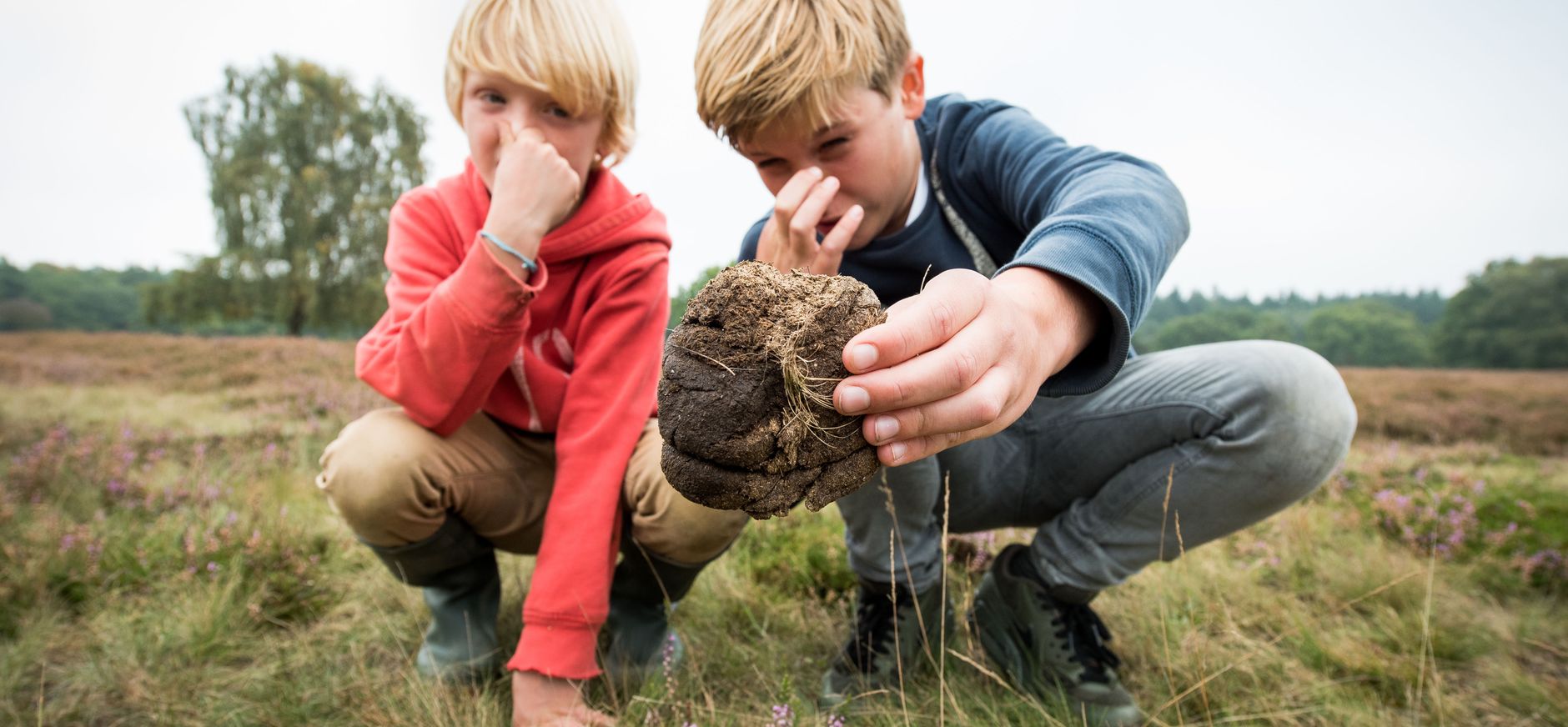 Speuren naar dierensporen